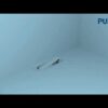hqdefault